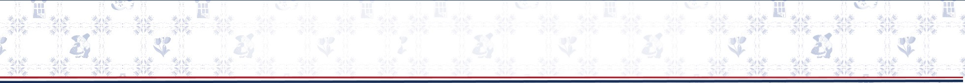 vendukar footer
